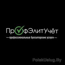 ООО ПрофЭлитУчёт