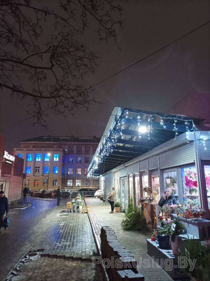 ИП Пильник Максим Александрович